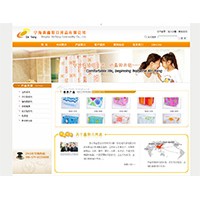 宁波网站设计开发