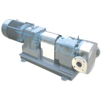 转子泵-通用型