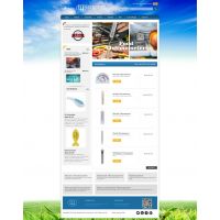 电子网站设计案例