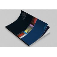 汽配拉索类样本案例