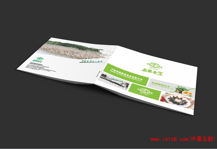 禽蛋业产品样本案例