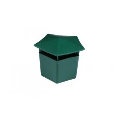 敏良   捕虫喂食类