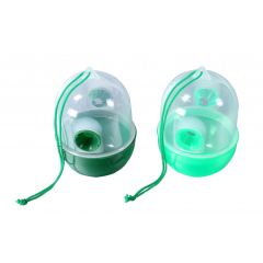 敏良   捕虫喂食类