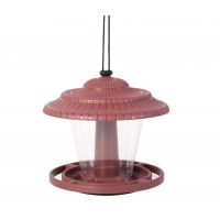 敏良   捕虫喂食类