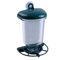 敏良   捕虫喂食类