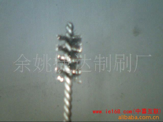 531259841_10cd19174124991e0798f2199d30049b