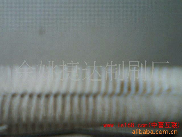 493826650_86304eb39b3e35365b1b0b7cce3bf814