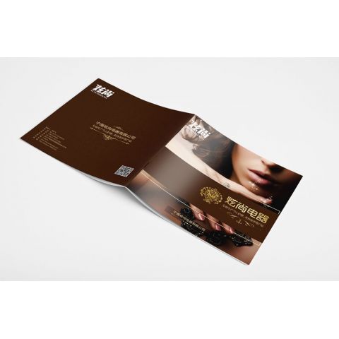 电器行业电动剃毛器画册案例