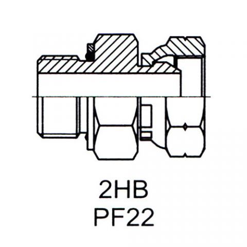 英管螺纹 60°锥面密封接头