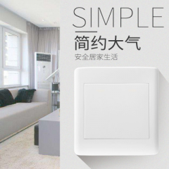 86型空白面板 玉兰白系列