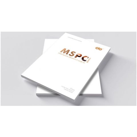 茂盛气动画册样本设计