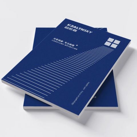 海世嘉企业画册