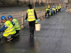 为建设美丽宁波,他们每个月如约而至......