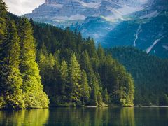 安全、规范、高效的专业化的清理维护服务