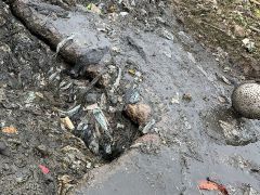 化粪池行业处理现状