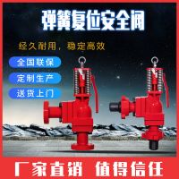 宁波能元机械油田专用弹簧安全阀