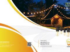 电源线、插头、灯串线、汽车电器接插件