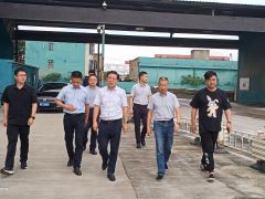 江北区委书记一行莅临豪城码头视察工作