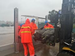 提前安装防洪门 豪城码头扎实做好防台“功课”！